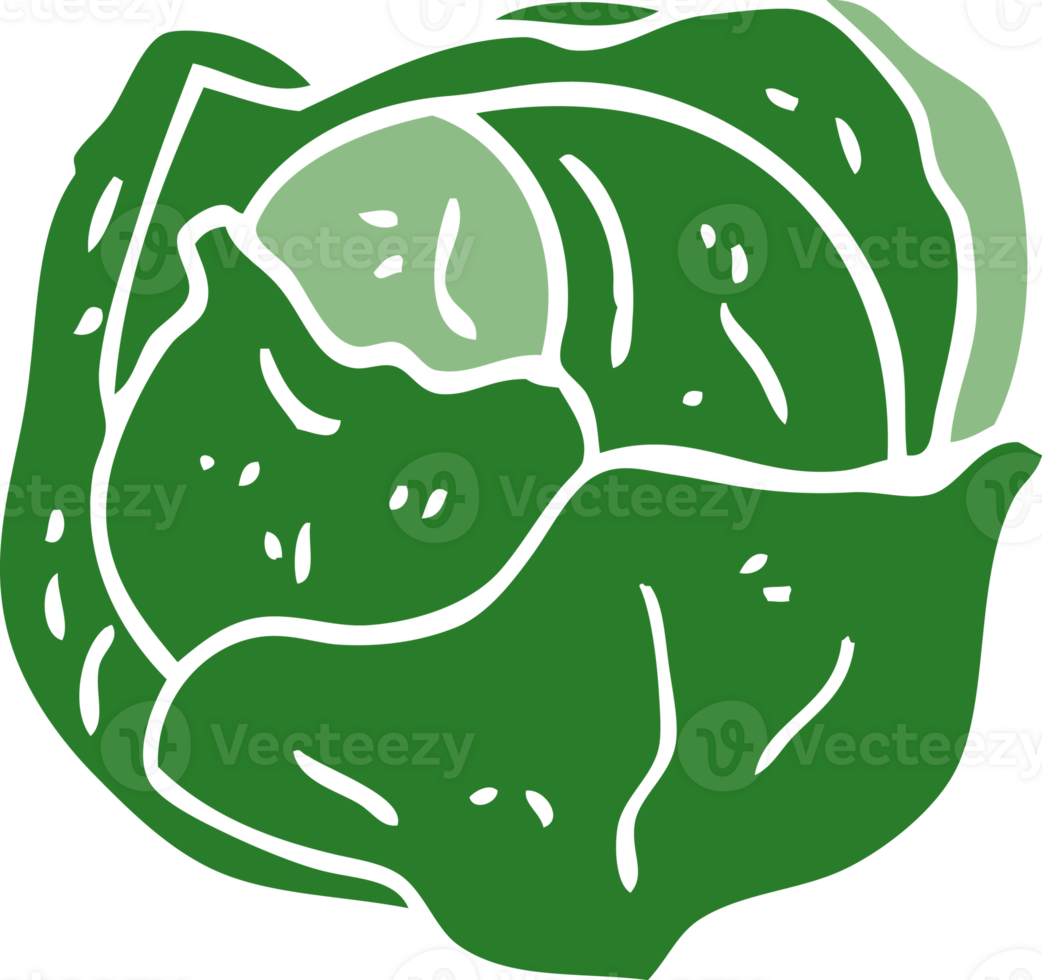 cartoon doodle cabbage png