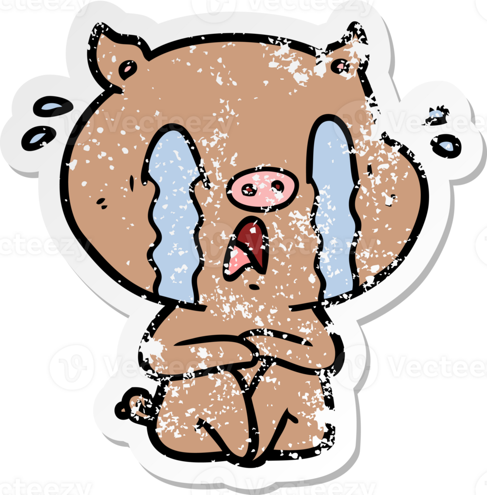 distressed sticker of a crying pig cartoon png
