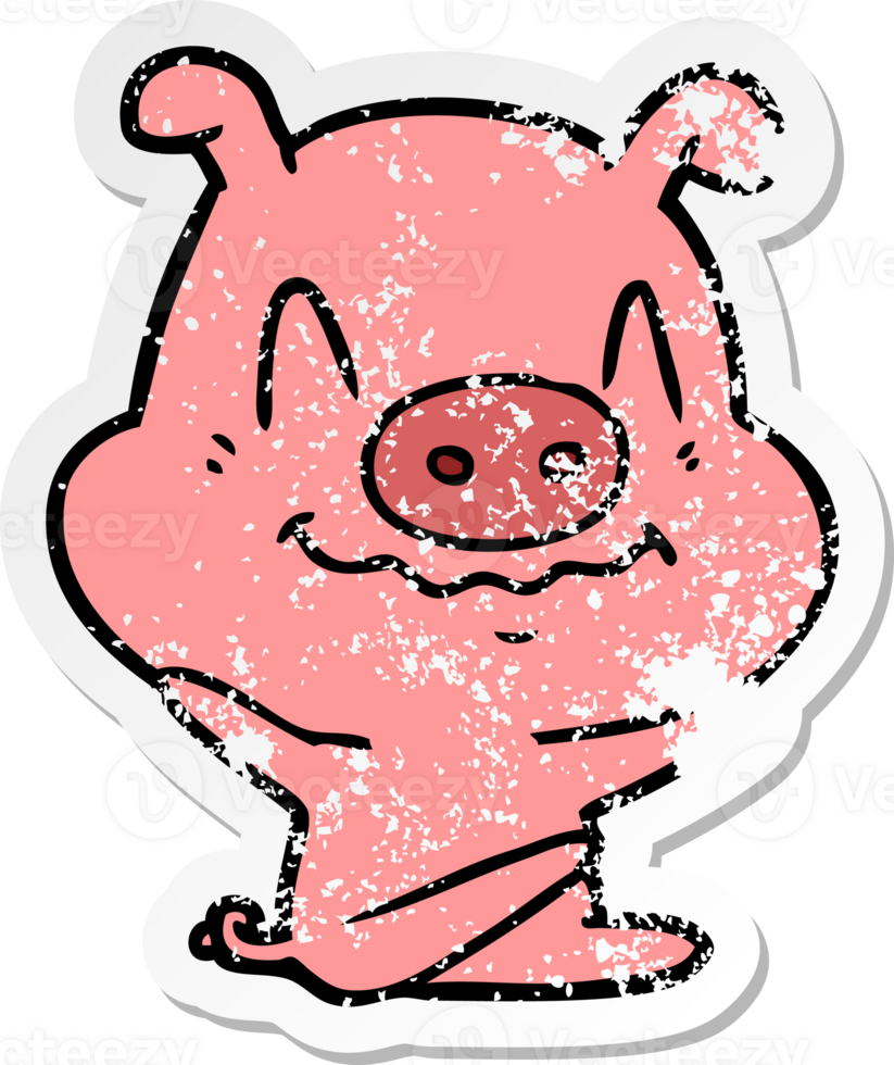 distressed sticker of a nervous cartoon pig sitting png