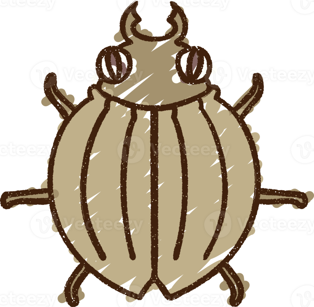 Bug Chalk Drawing png