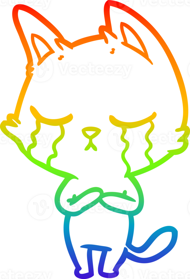 rainbow gradient line drawing crying cartoon cat png