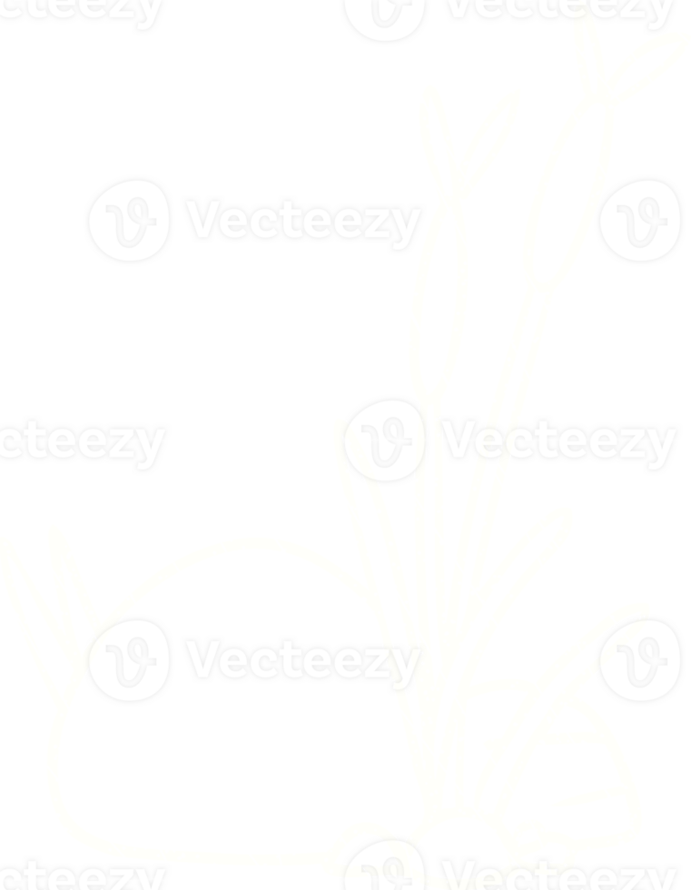 Reeds Chalk Drawing png