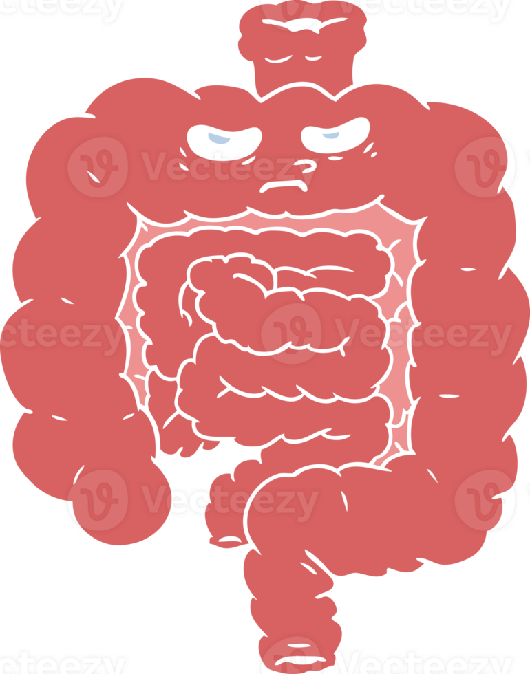 flat color style cartoon intestines png