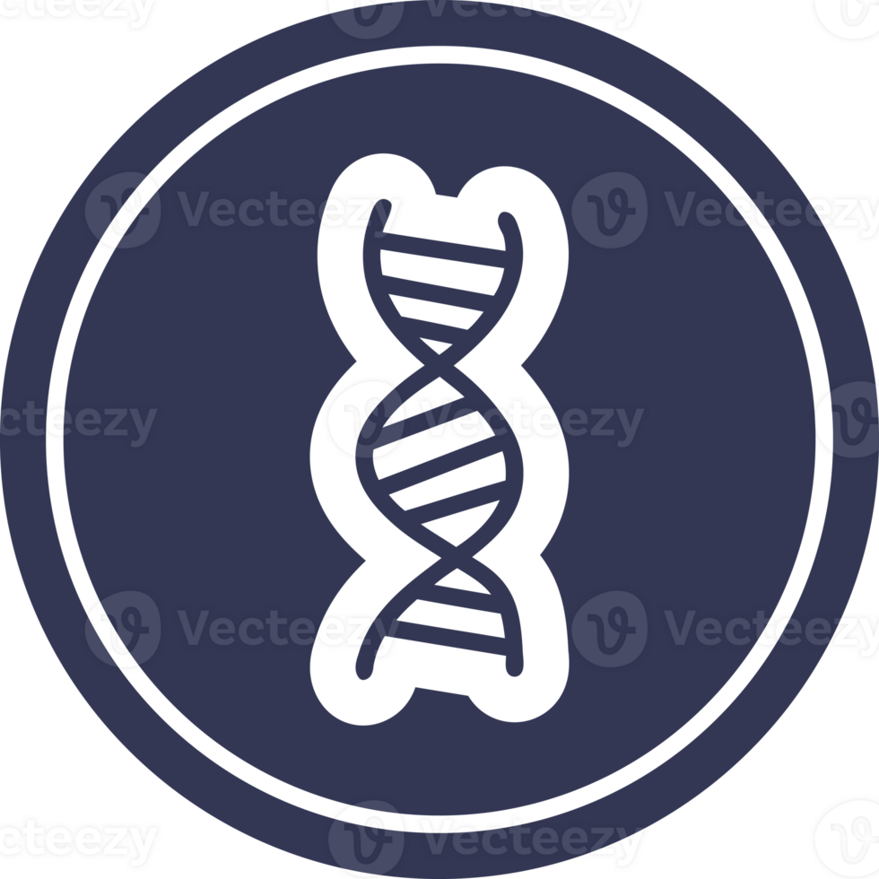 DNA chain circular icon png