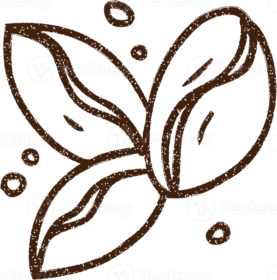 Coffee Beans Charcoal Drawing png