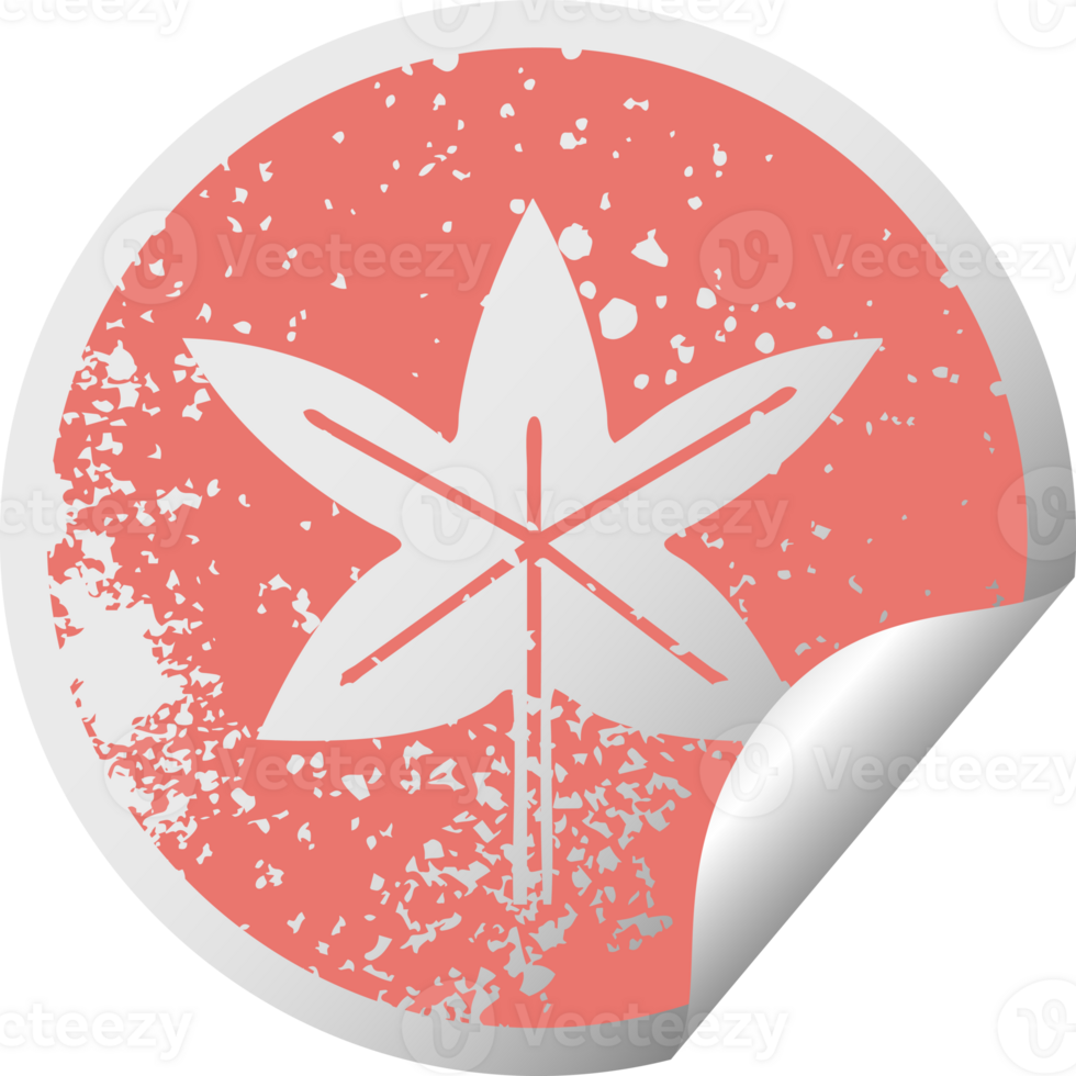 distressed circular peeling sticker symbol of a autumn leaf png