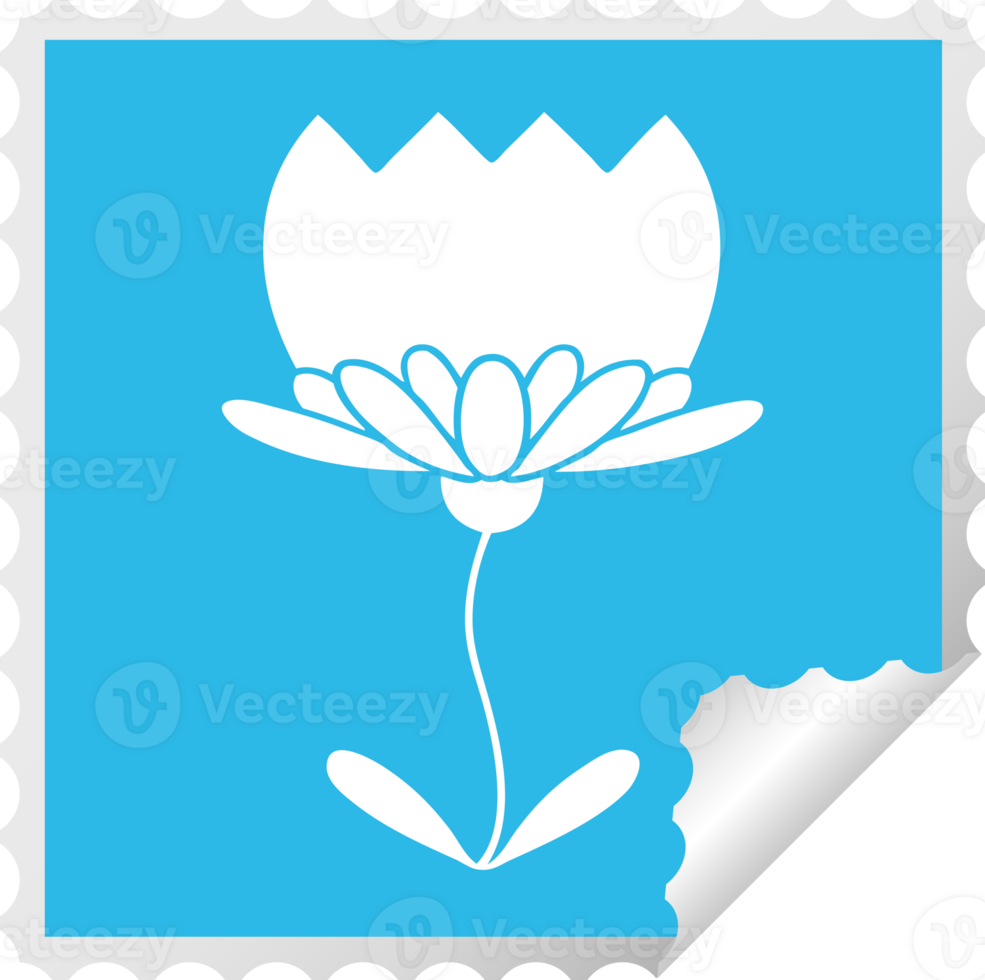 square peeling sticker cartoon of a flower png