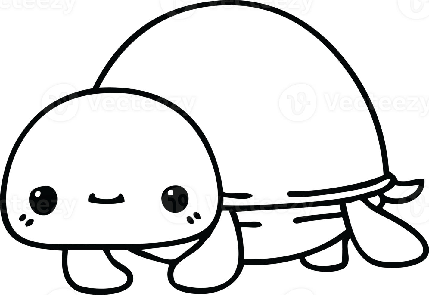 line drawing quirky cartoon turtle png