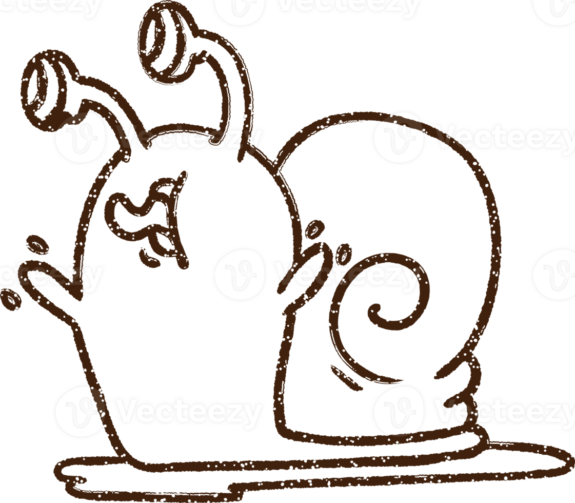 Crazy Snail Charcoal Drawing png