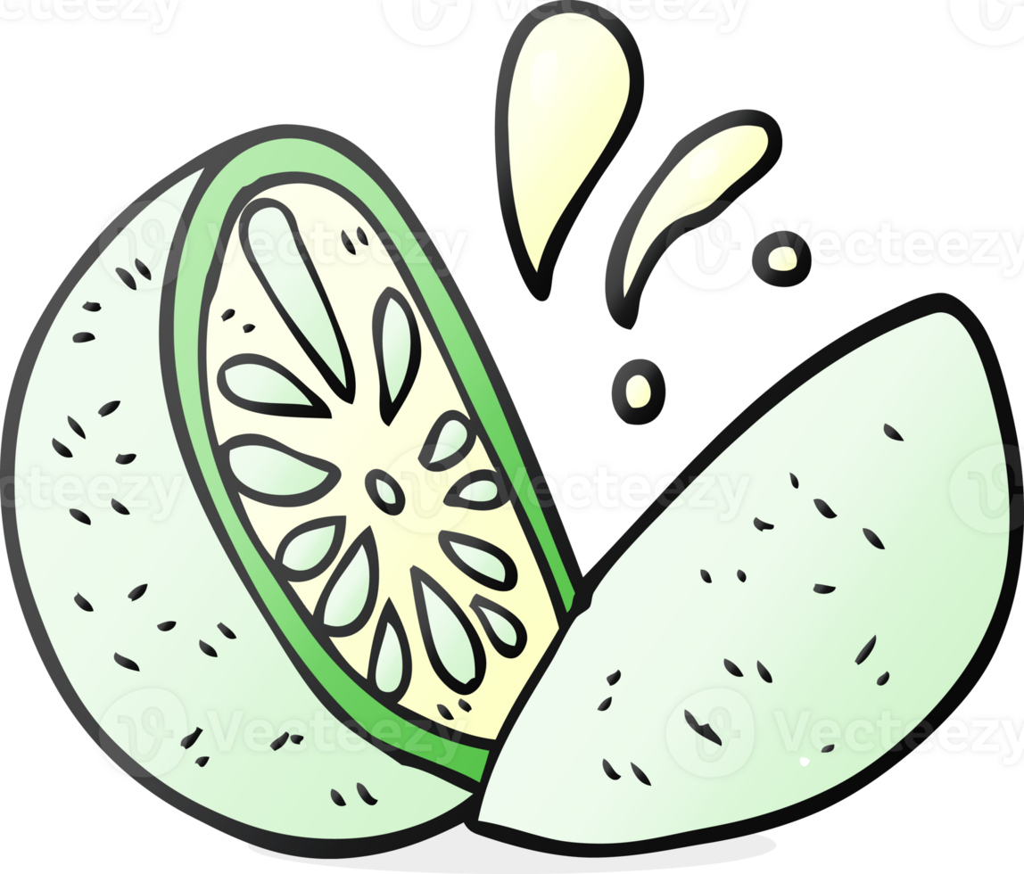 drawn cartoon melon png