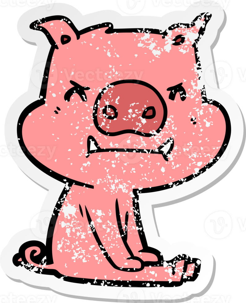 distressed sticker of a angry cartoon pig sitting png
