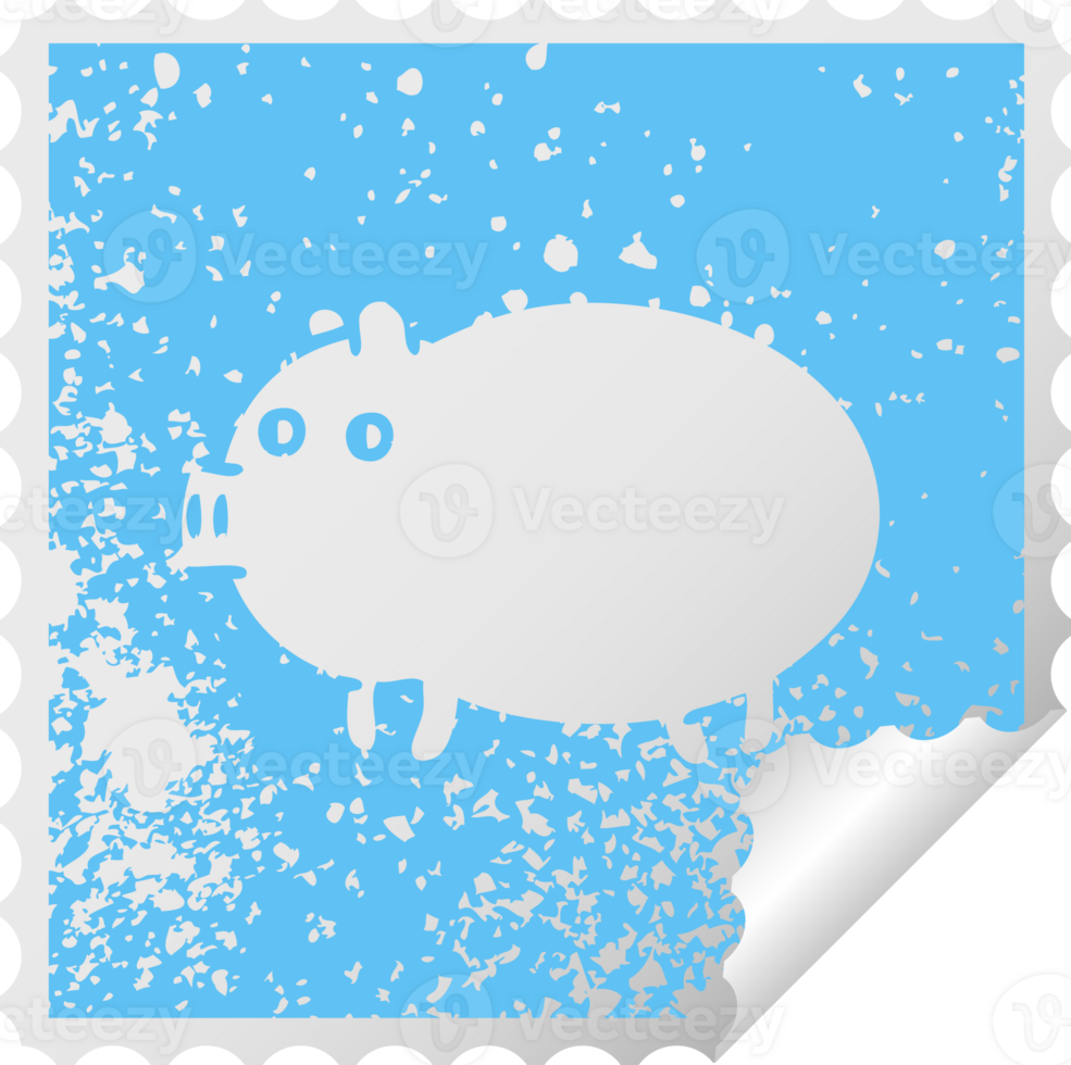 distressed square peeling sticker symbol of a fat pig png
