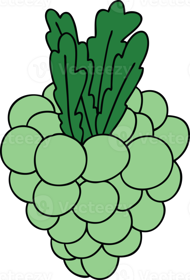 hand drawn quirky cartoon bunch of grapes png