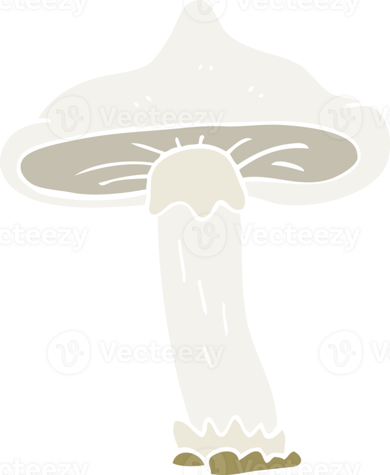 flat color illustration of mushroom png