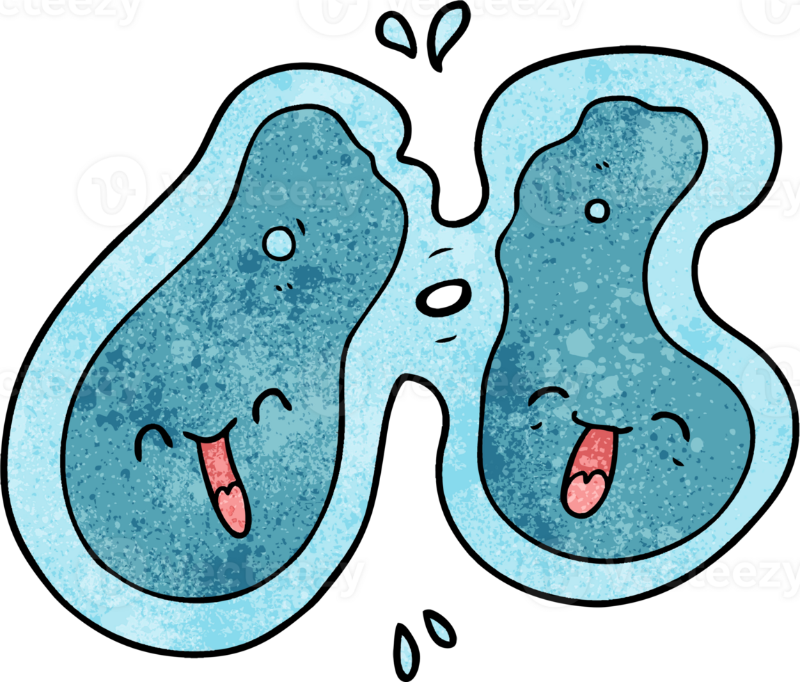 cartoon cell dividing png