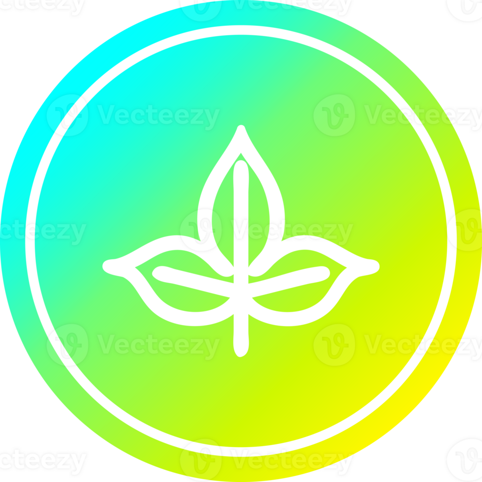 natural leaf circular icon with cool gradient finish png
