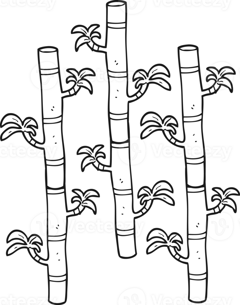 drawn black and white cartoon bamboo png
