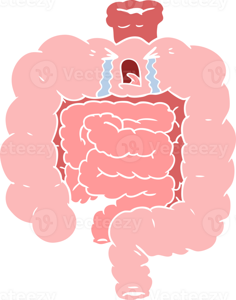flat color style cartoon intestines crying png