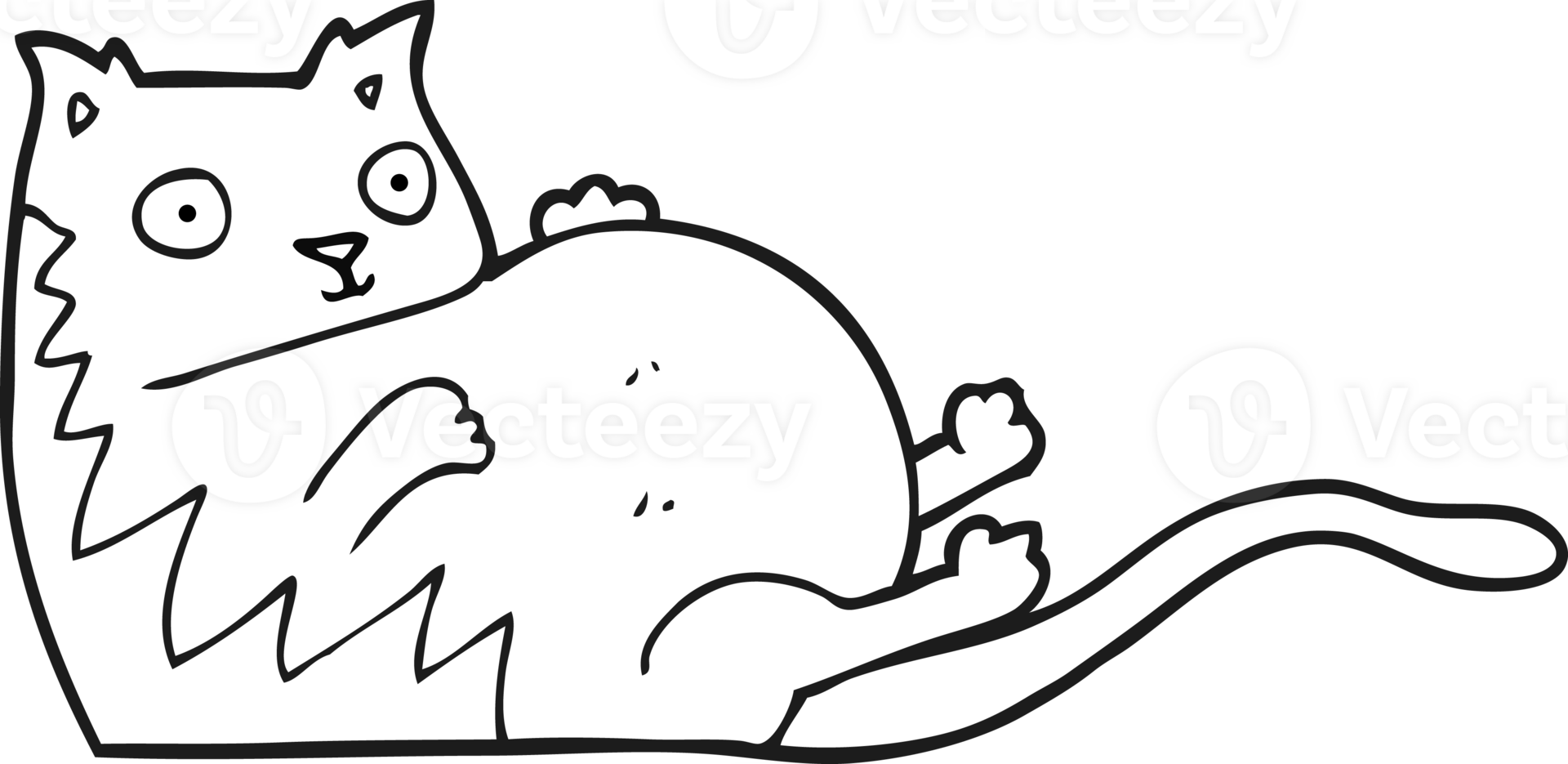 drawn black and white cartoon fat cat png