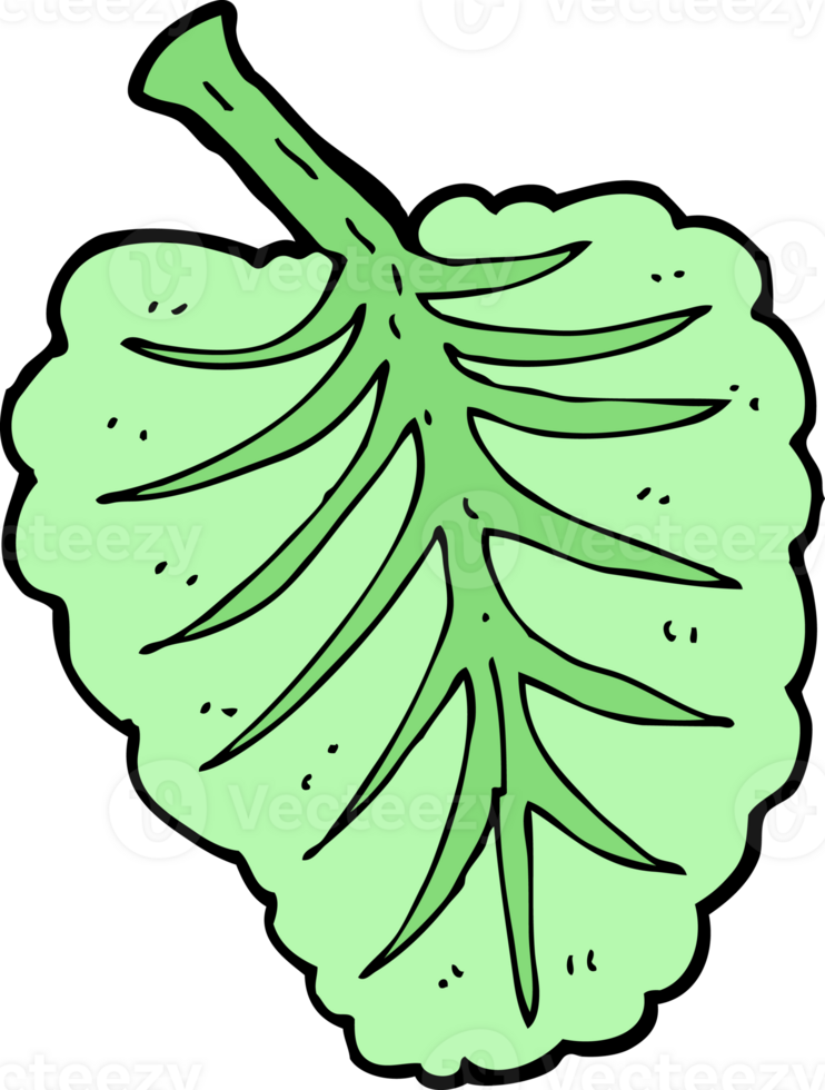 cartoon leaf symbol png