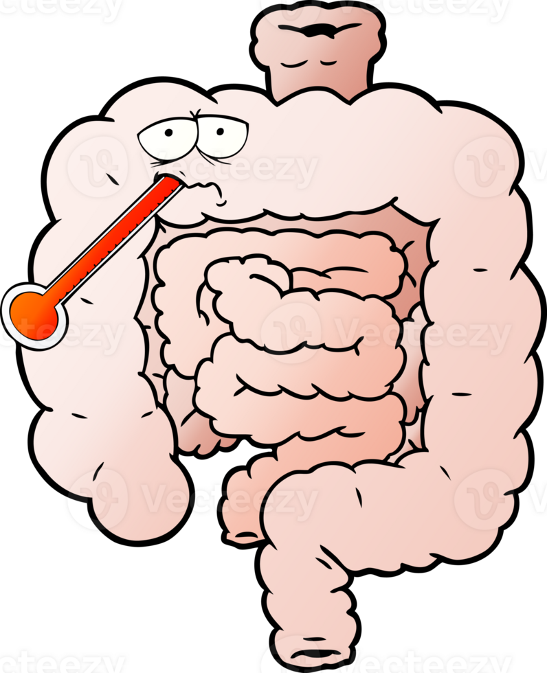 cartoon unhealthy intestines png
