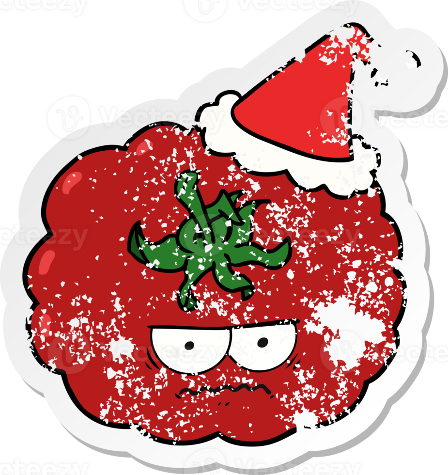 hand drawn distressed sticker cartoon of a angry tomato wearing santa hat png