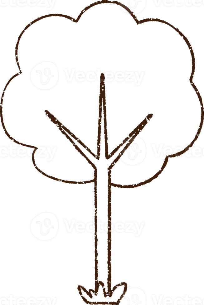 Tree Charcoal Drawing png