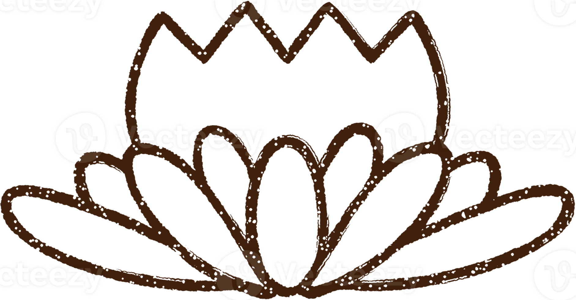 Waterlily Charcoal Drawing png