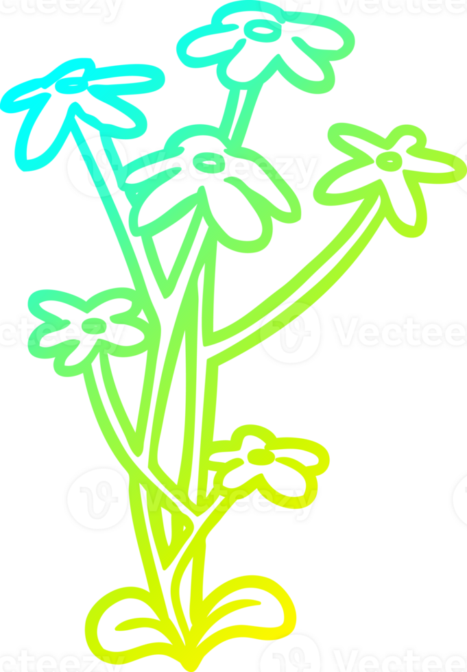 cold gradient line drawing of a flower png