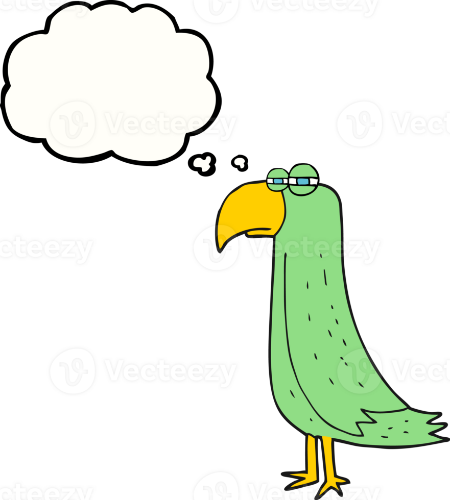 drawn thought bubble cartoon parrot png