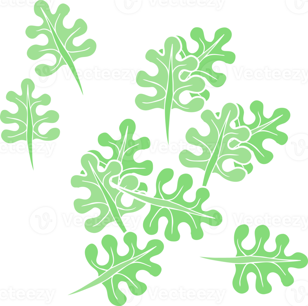 flat color illustration of leaves png