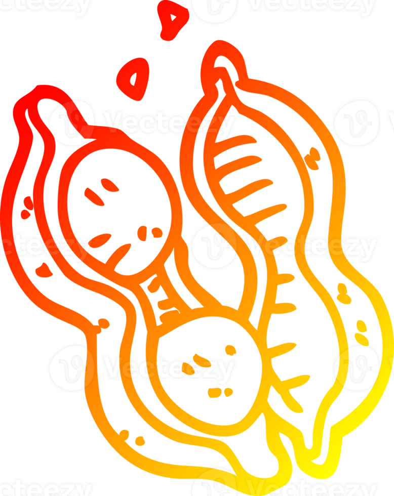 warm gradient line drawing of a cartoon peanuts in shell png