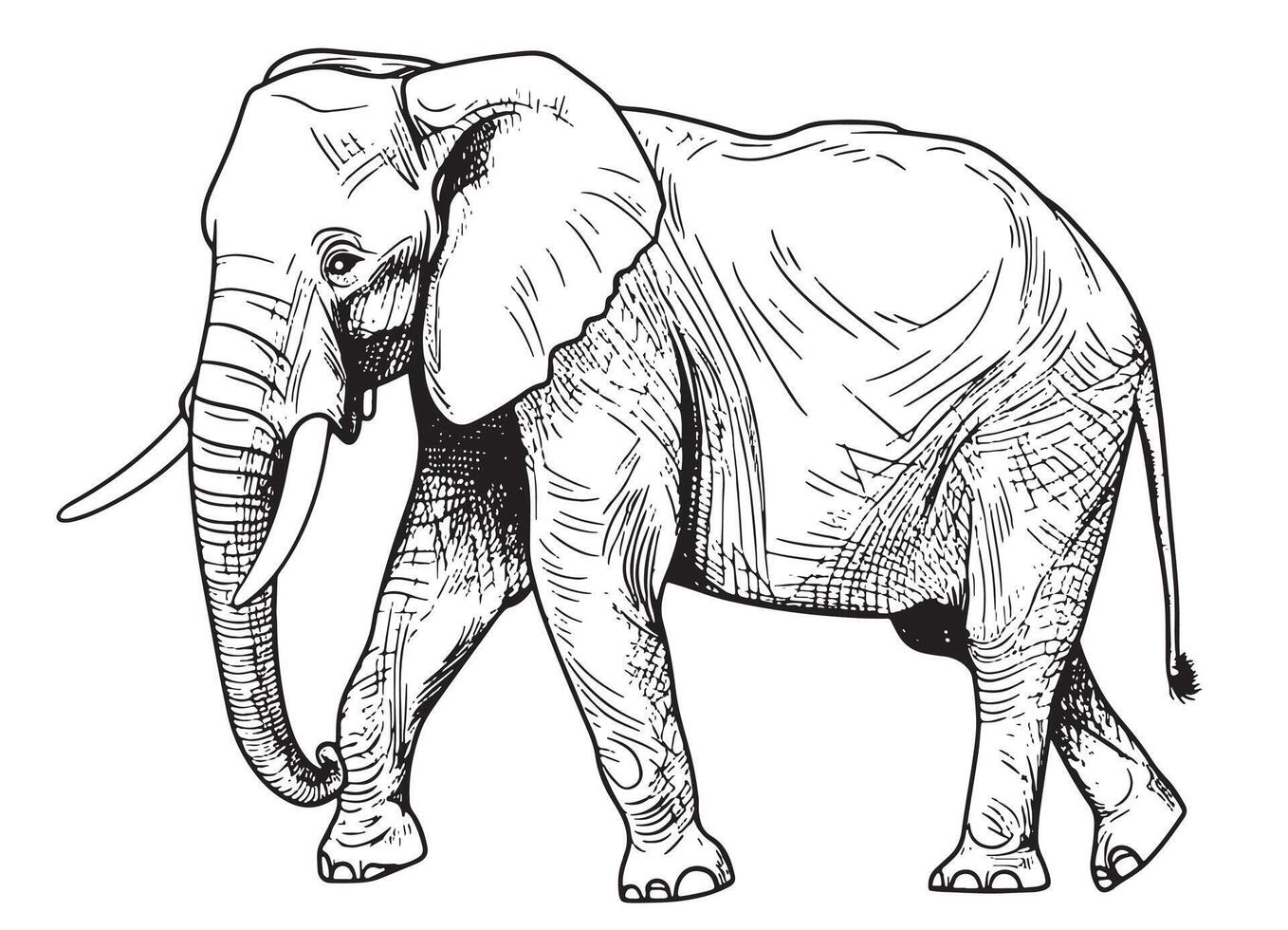 Elephant walking hand drawn sketch illustration vector