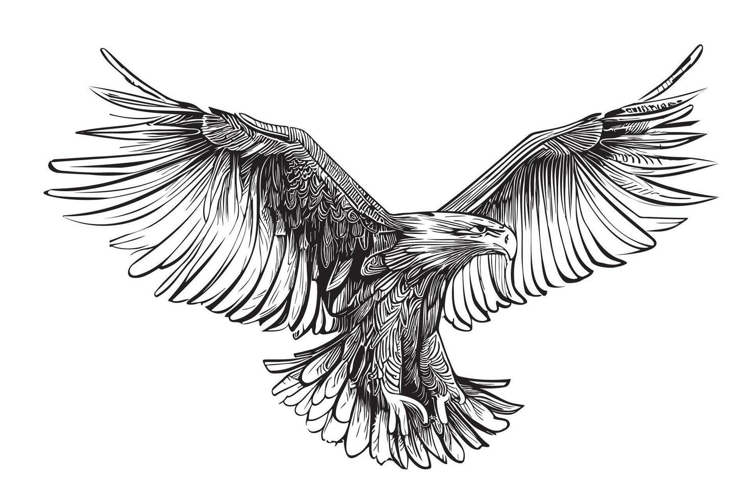 Eagle with spread wings sketch hand drawn engraving style illustration vector