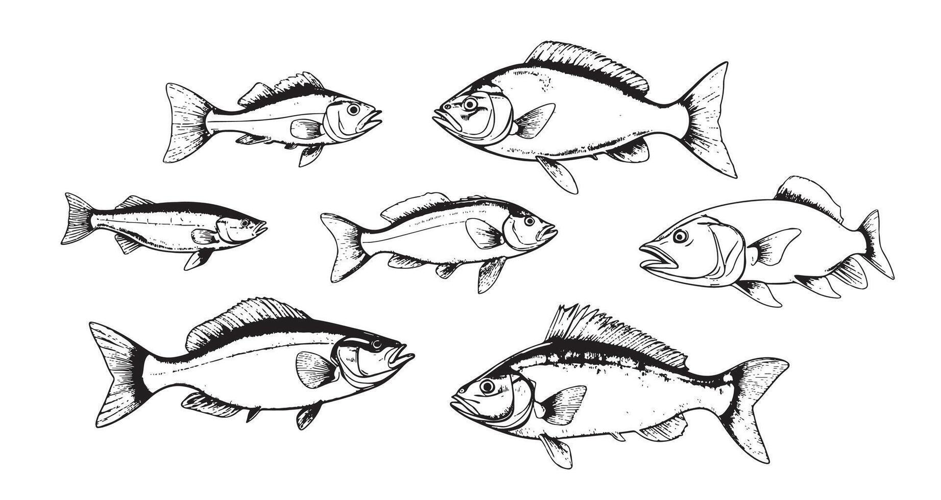 Set of fish sketch hand drawn Fishing illustration vector