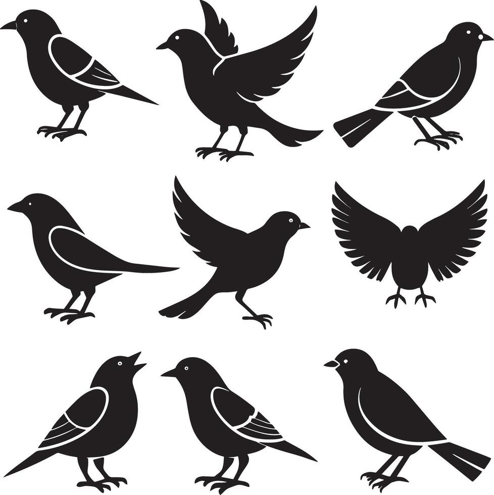 set of bird silhouette illustration. isolated on white background vector