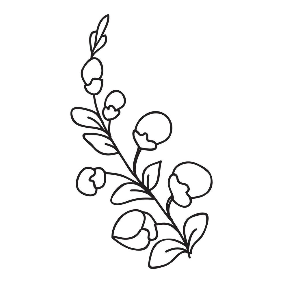 Festive Sakura isolated on white background. Oriental traditional, outline illustration. Japanese, Chinese, Korean trendy design, Celebration Event Greeting card Party Invitation Poster Flyer vector