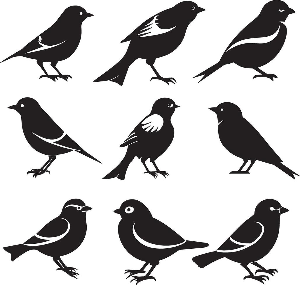 set of bird silhouette illustration. isolated on white background vector