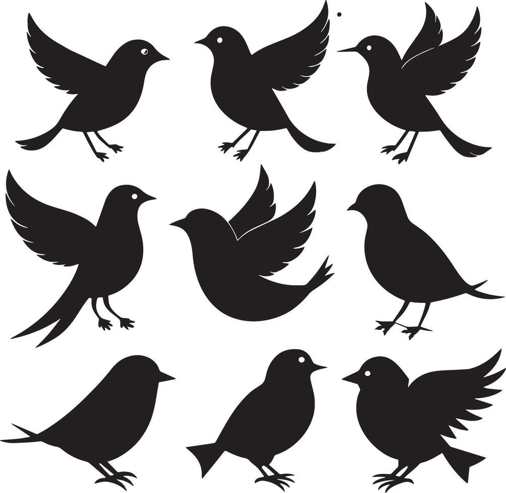 set of bird silhouette illustration. isolated on white background vector