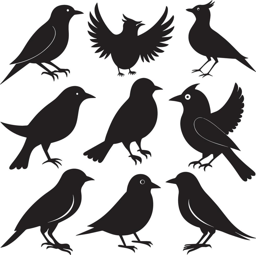 set of bird silhouette illustration. isolated on white background vector