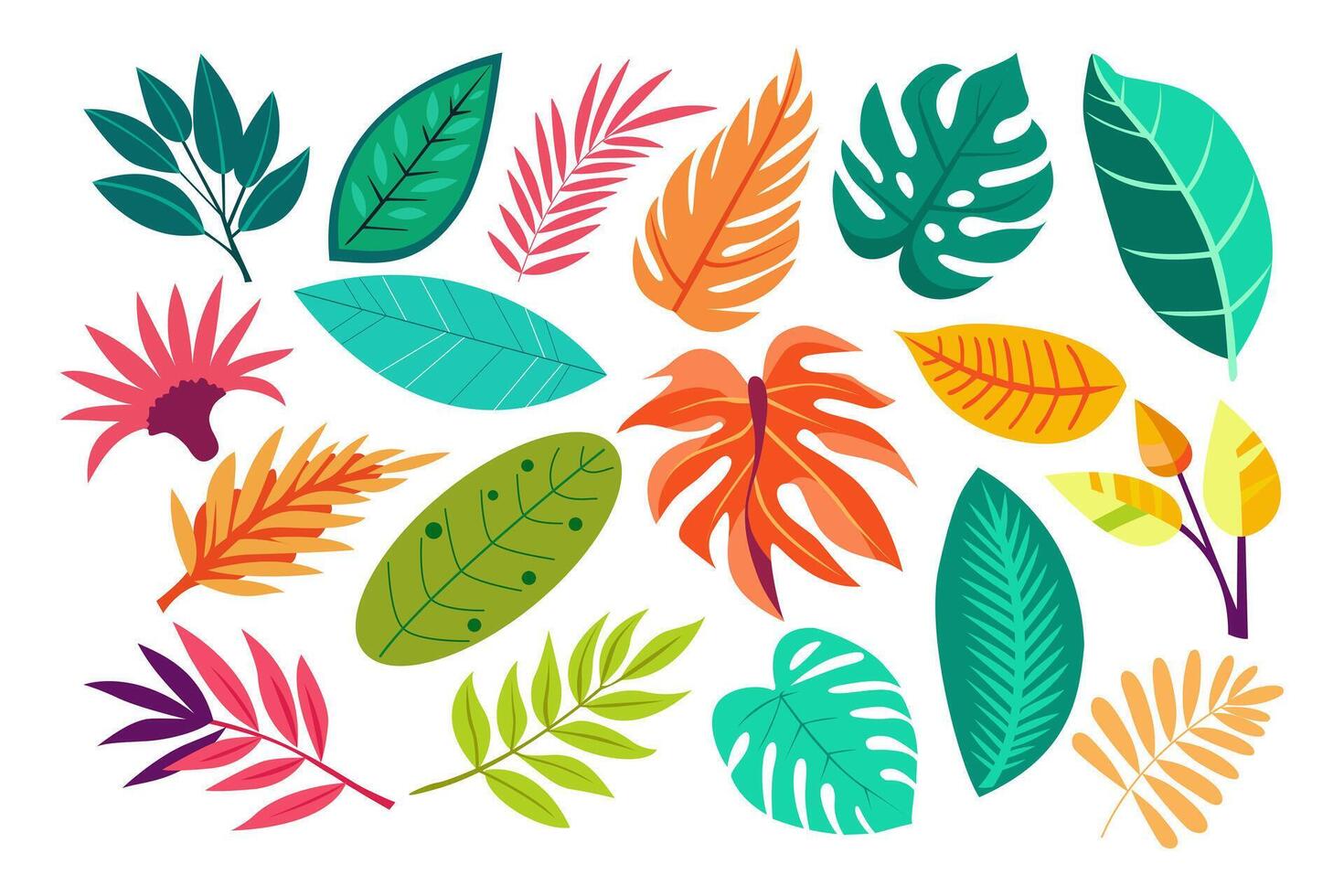 Tropical different type exotic leaves set. Jungle vector