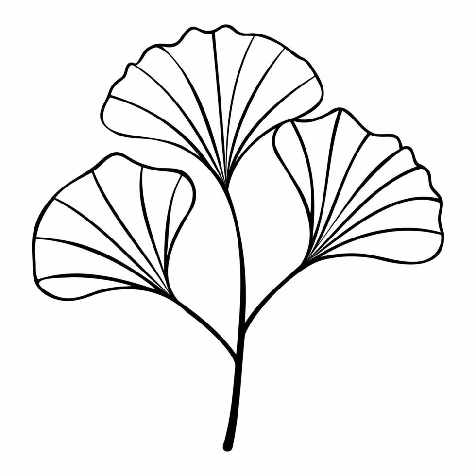 Ginkgo biloba branch with leaves hand drawn contour line. Minimalist Style. For design of logo, invitation, posters, postcard, prints on t-Shirts. vector