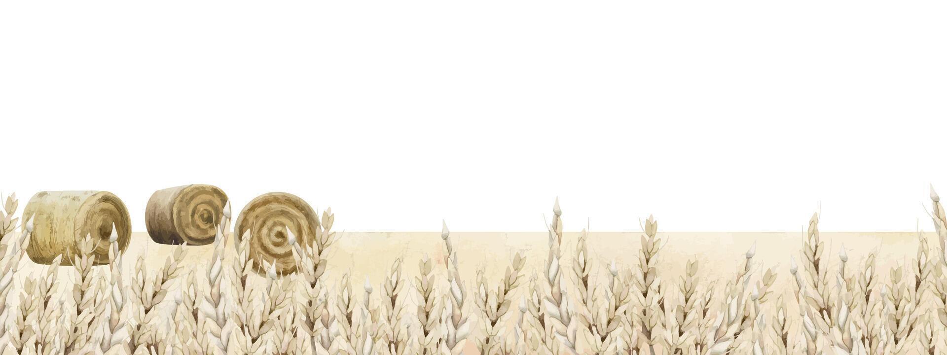 Watercolor Happy Shavuot greeting banner template with copy space for text. Wheat field, rolled hay harvest illustration vector