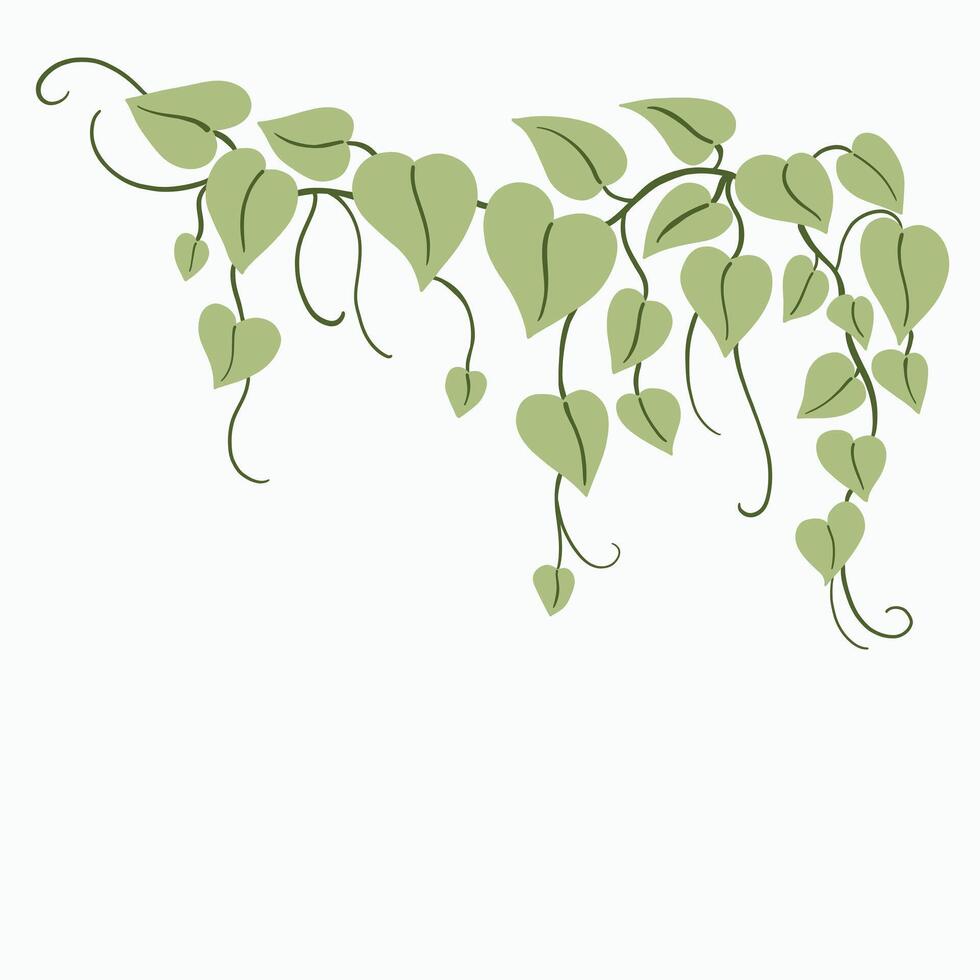 Floral ivy drawing decorative ornament flat design. vector