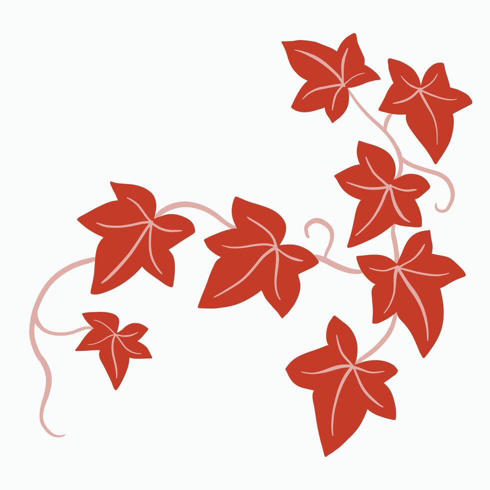 Floral ivy drawing decorative ornament flat design. vector