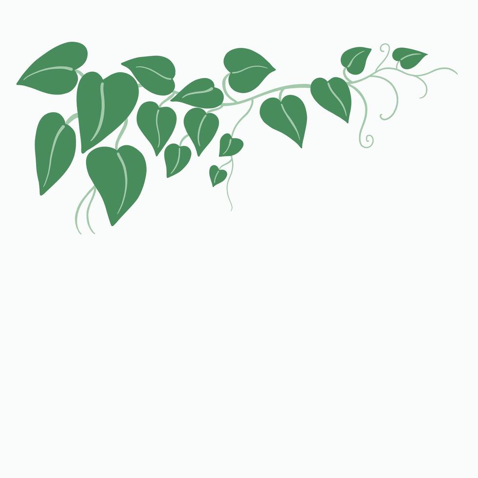 Floral ivy drawing decorative ornament flat design. vector