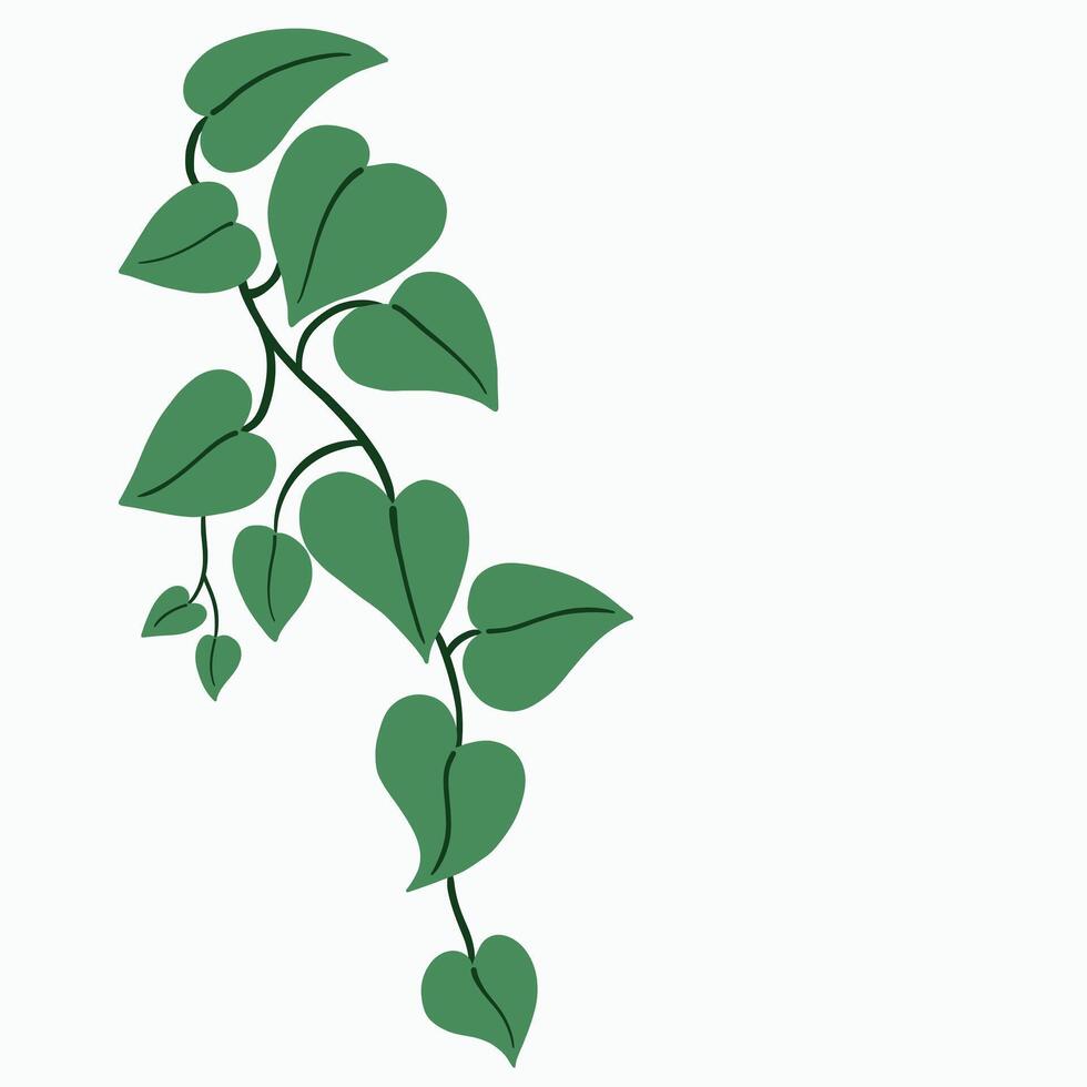 Floral ivy drawing decorative ornament flat design. vector
