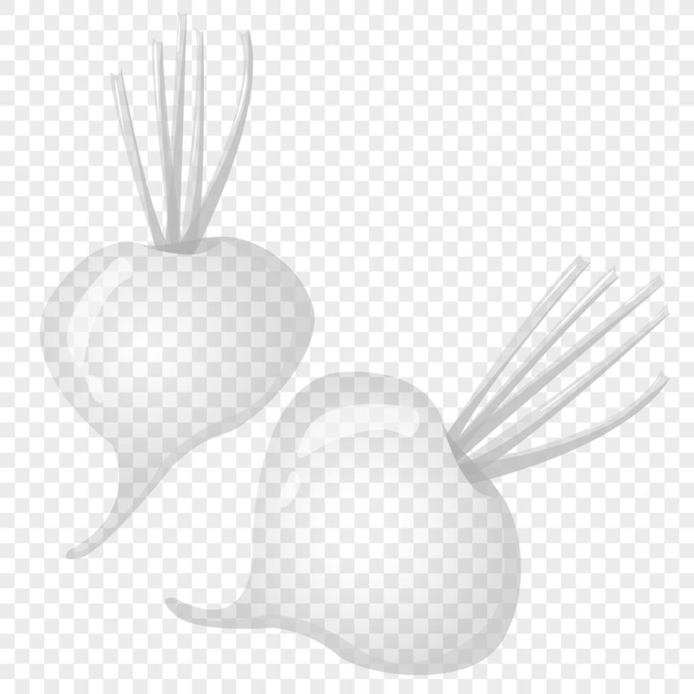 Ripe beet. For sticker and t shirt design, posters, logos, labels, banners, menu, product packaging design, etc. illustration vector