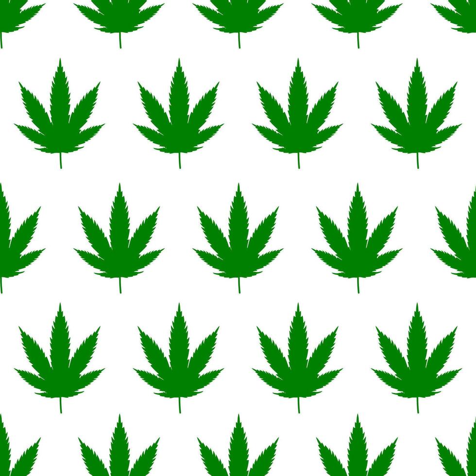 seamless pattern of marijuana leaves on white background vector