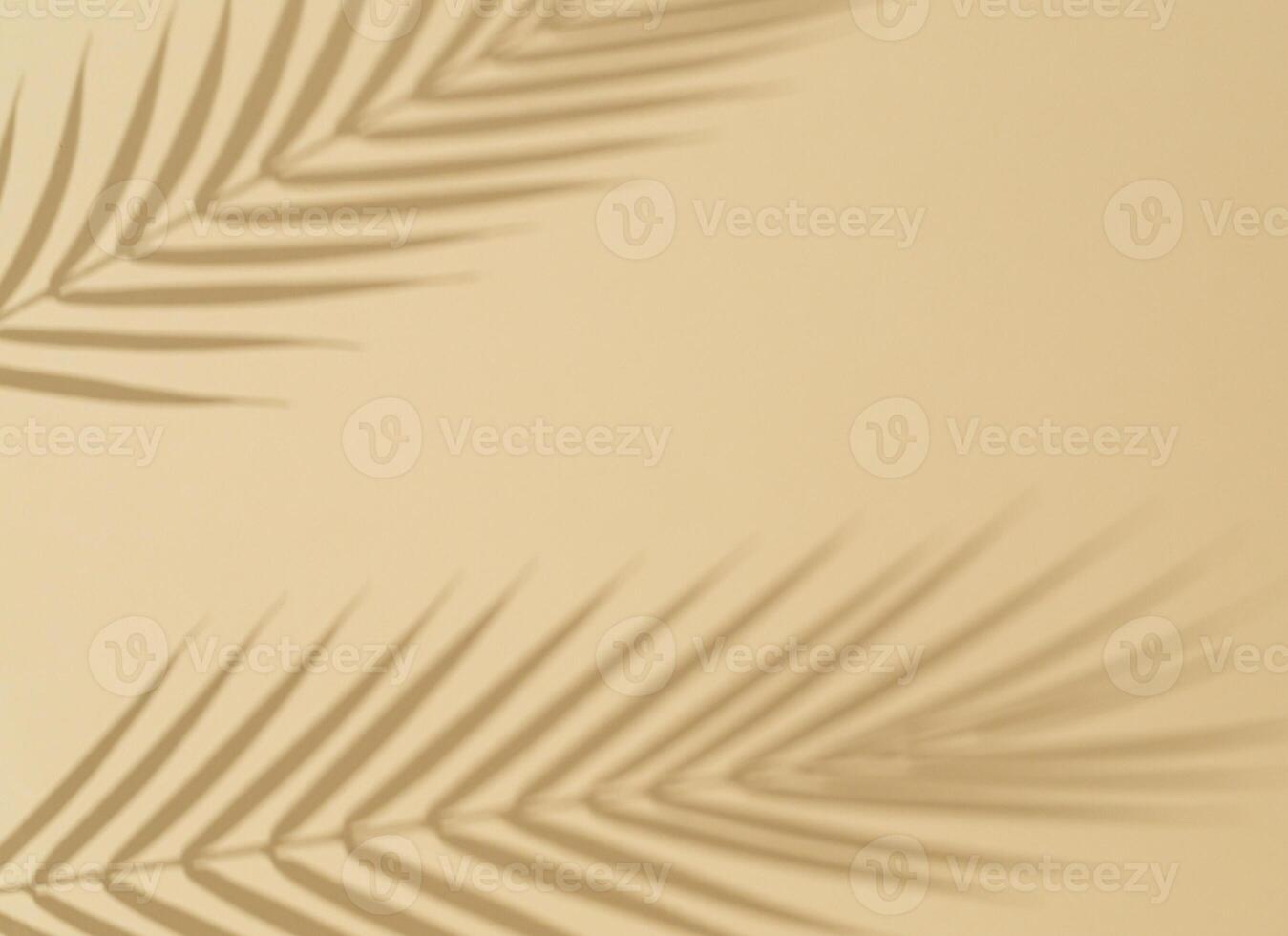 Green tropical leaf shadow on sand color background. Flat lay. Minimal summer concept with palm tree leaf. An original background image with a play of light and shadow. Creative copy space. photo